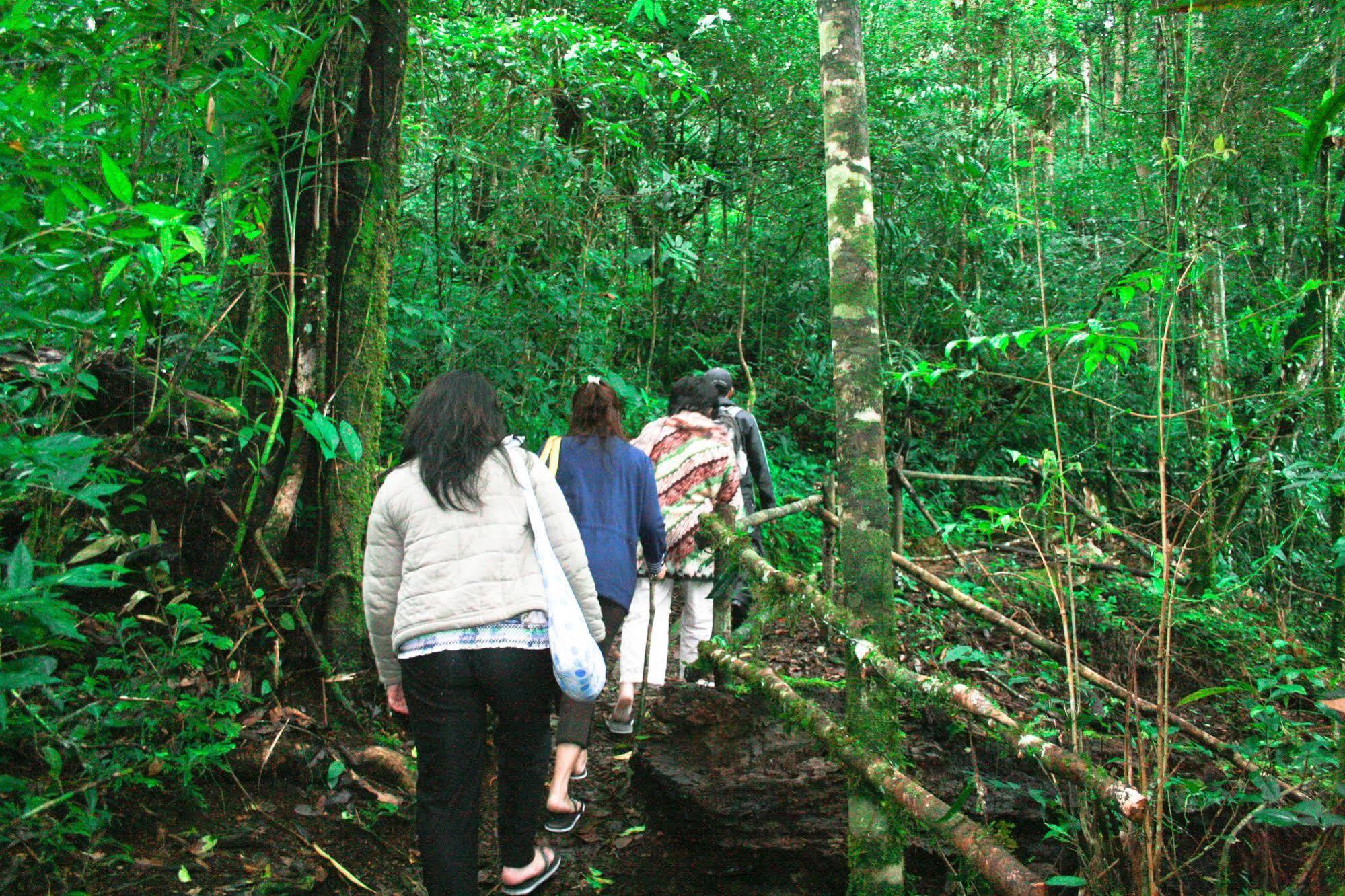 Taman Simalem Resort Tongging Exteriér fotografie