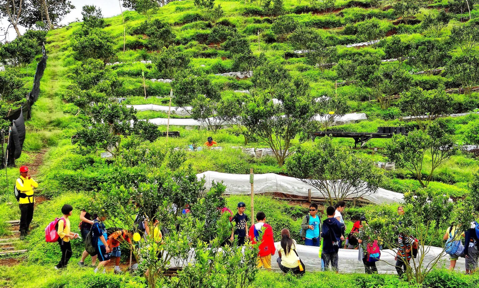 Taman Simalem Resort Tongging Exteriér fotografie